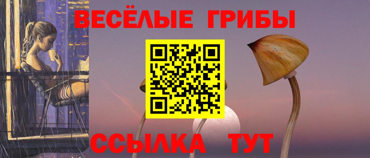 Качканар  Псилоцибиновые грибы MAGIC MUSHROOMS  где купить наркоту  Вход с VPN 